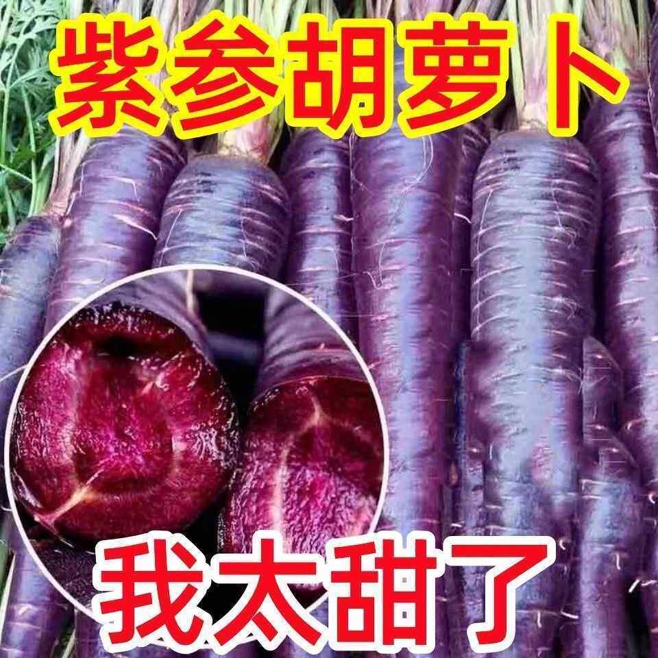 紫色胡萝卜脆甜水萝卜紫参胡萝卜紫红萝果卜蔬菜包邮