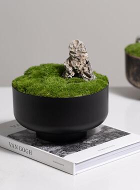 匠十三 新中式会议桌家居绿植观景装饰品卧室飘窗茶几绿植盆景