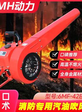 现货风力灭火机油提手式大功率汽吹风机KIA器吹工雪机抽烟囱道路