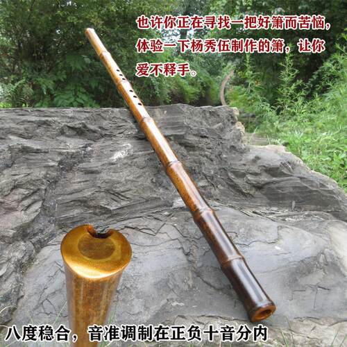 萧紫竹专业洞萧演奏级高端洞萧gF调紫竹八孔箫初学者杨秀伍萧乐器