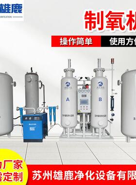 工业用PSA制氧机 青海高原变压吸附制氧酒店机械设备工业制氧机