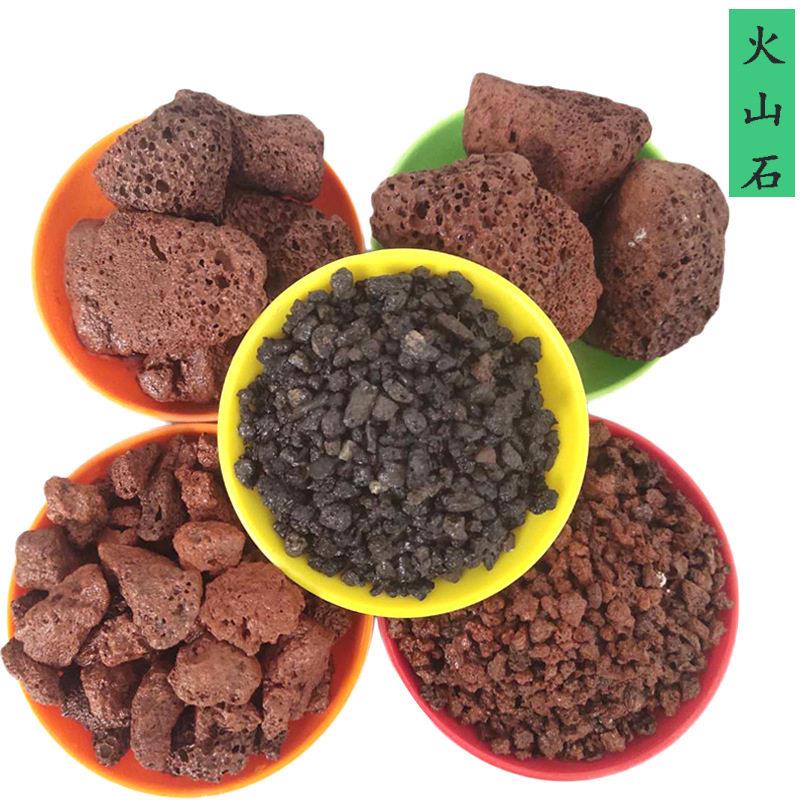 多肉栽培 污水处理 大块造景 红色黑色火山石 支持加工定制