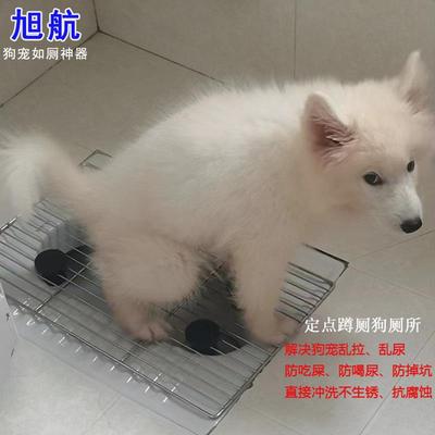 蹲坑狗厕所防外溅防踩屎代替尿垫宠物定点排便神器不锈钢304网架