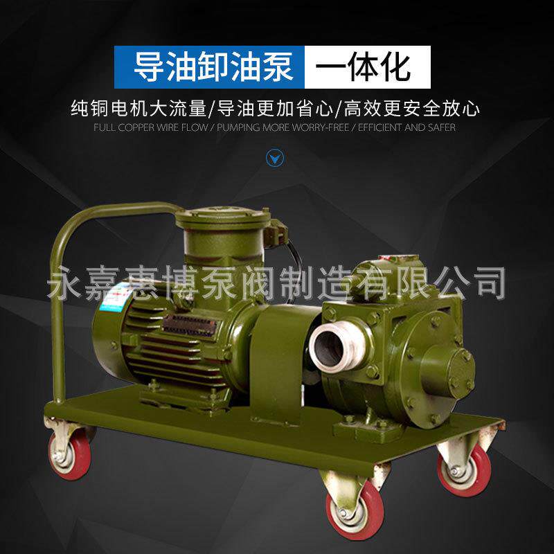 1.5寸防爆滑片导油泵 220V滑片泵 移动计量滑片导由泵 自吸滑片泵