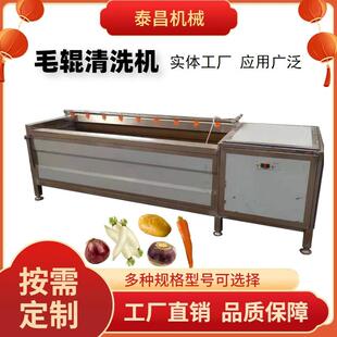 毛辊清洗机胡萝卜洋葱清洗机土豆芋头去皮清洗机生姜萝卜清洗设备
