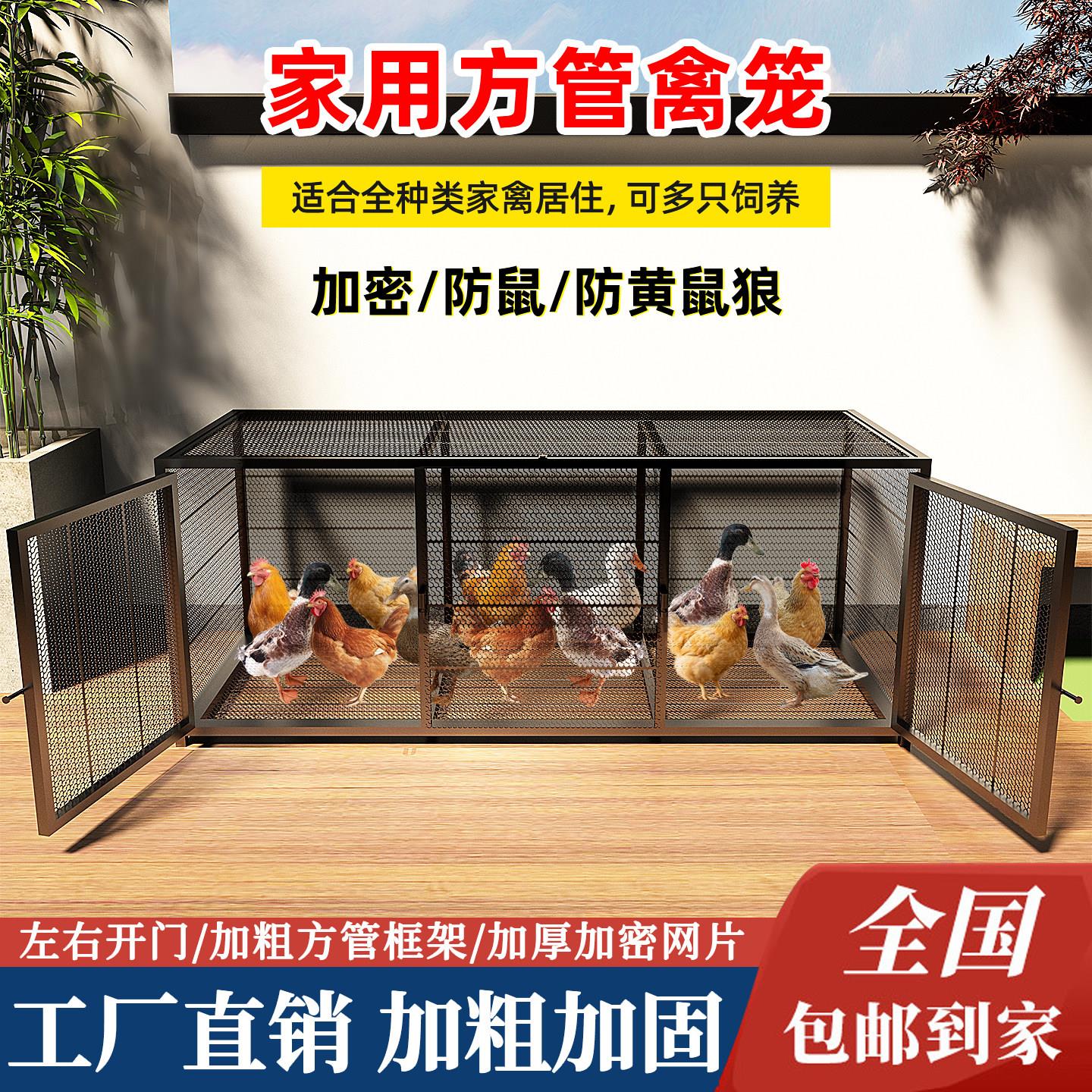 鸡笼家用室外防黄鼠狼饲养笼铁丝网鸭兔养殖笼方管自动清粪大号笼