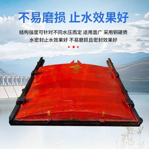 铸闸一体式PZ单向止410水方水利工程圆形镶铜G电铁动门控制