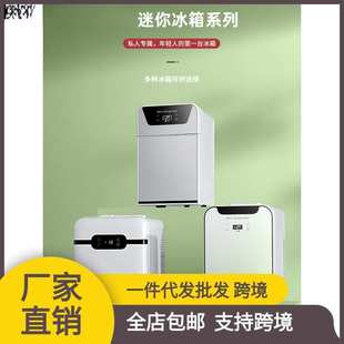 小冰箱家用小型宿舍办公室车载迷你冷藏冻单人节能底噪小冰柜 德式