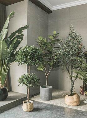 彷真绿色植物室内假植物高端轻奢琴叶榕假树景观大型落地盆栽装饰