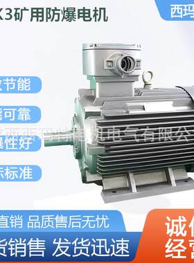 西安电机YBK-225m-4极45KW煤矿井下用防爆三相异步电动机厂