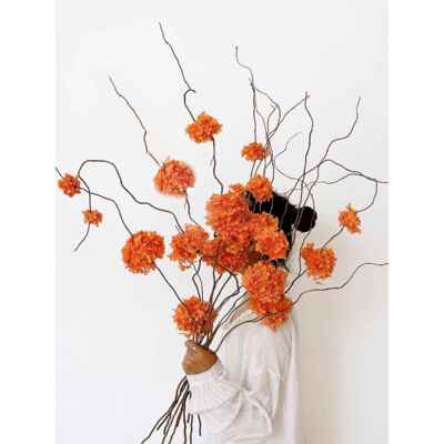 橙色浅粉色绣球真花干花永生花花束家居插花装饰摆件龙柳枝意境感