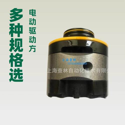 丹佛斯叶片泵泵芯 02-137132-2t35V38A1B22R 威格士叶片泵泵