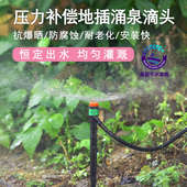 农用山坡地平衡流量压力补偿式 涌泉地插果树360度浇水滴灌微喷头