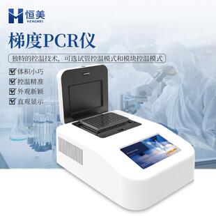 梯度pcr仪实时控温定性96孔PCR分子生物检测普通荧光基因扩增仪器