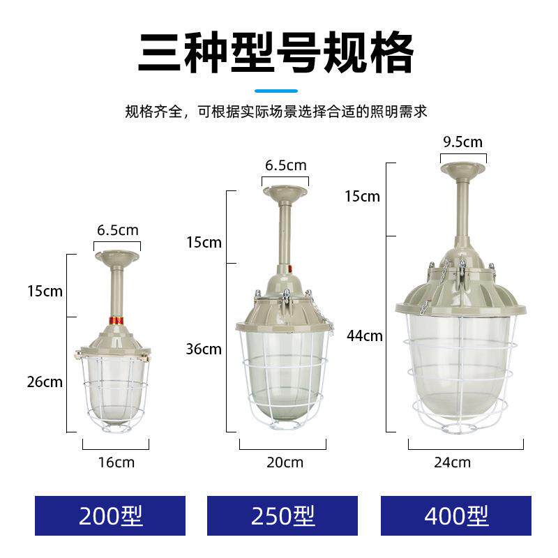 BCd200隔爆型防爆灯 BCd250防爆金卤灯节能灯防爆吊灯弯灯护栏灯