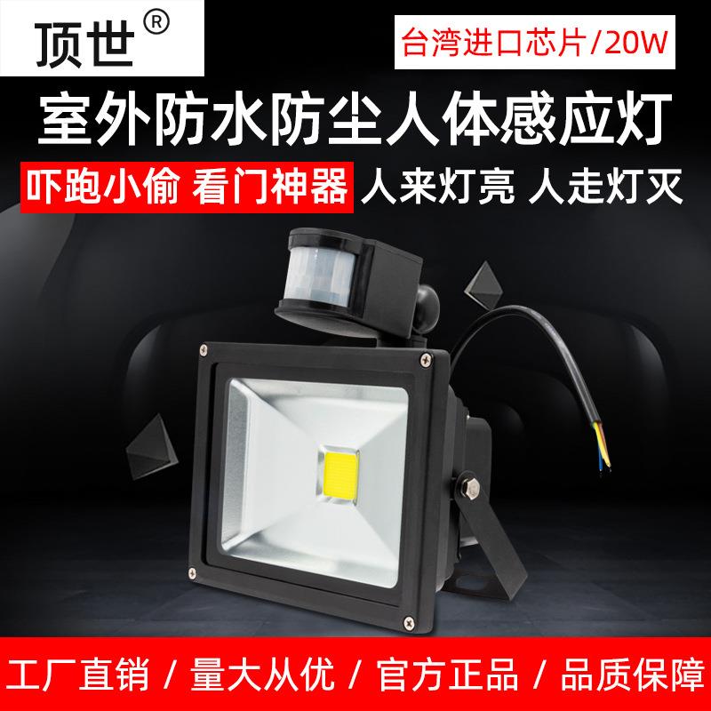 人体感应投光灯LED红外投射灯户外防水楼道车库监控补光DS20W100%