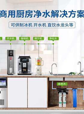 爱惠浦净水器商双用专C2M联净水器大流量奶mc2双联茶店咖啡店用直
