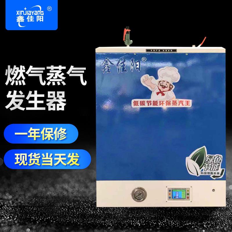 燃气蒸汽发生器工业用大型商用落地式微电脑控制烤漆款燃气锅炉