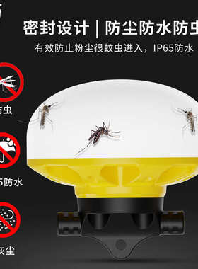 50FT工业灯串建筑工地临时工作灯可串联灯仓库车间厂房车库照明灯