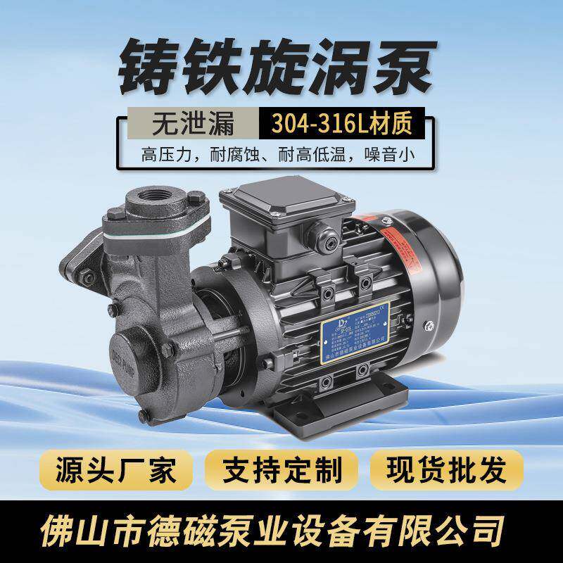 德磁厂家直供微型热水泵高低温循环泵增压泵耐高温导热油泵不锈钢