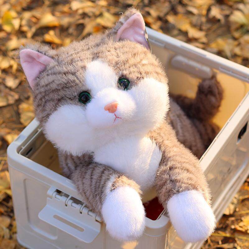 抱抱宝贝趴趴猫毛绒玩具可爱小猫咪公仔儿童睡觉抱枕女生生日礼物