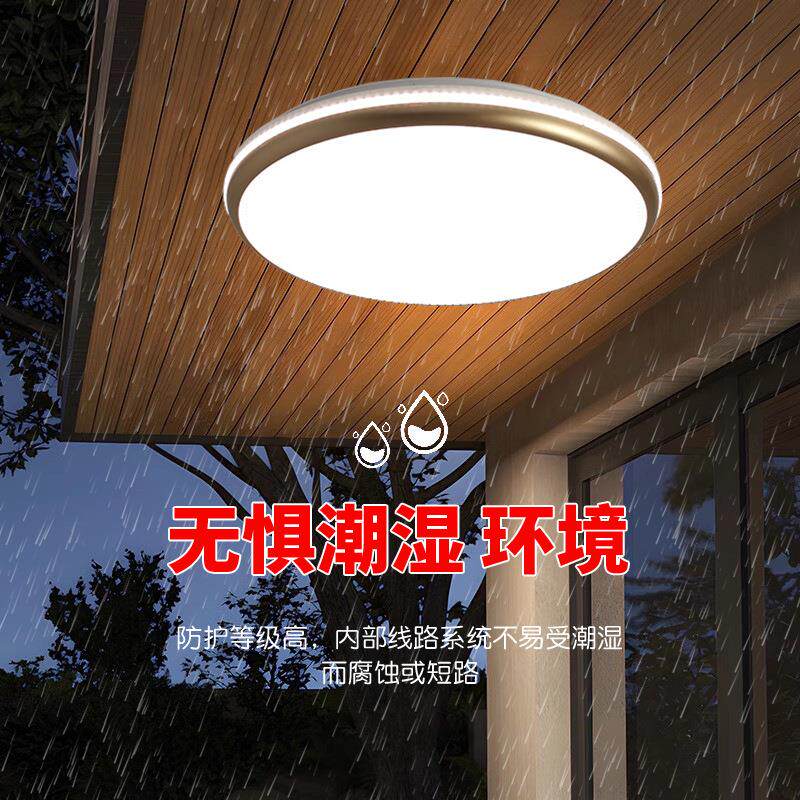 灯农村自建房屋檐阳台灯大门口吸外庭110院入户灯楼梯户走廊过道