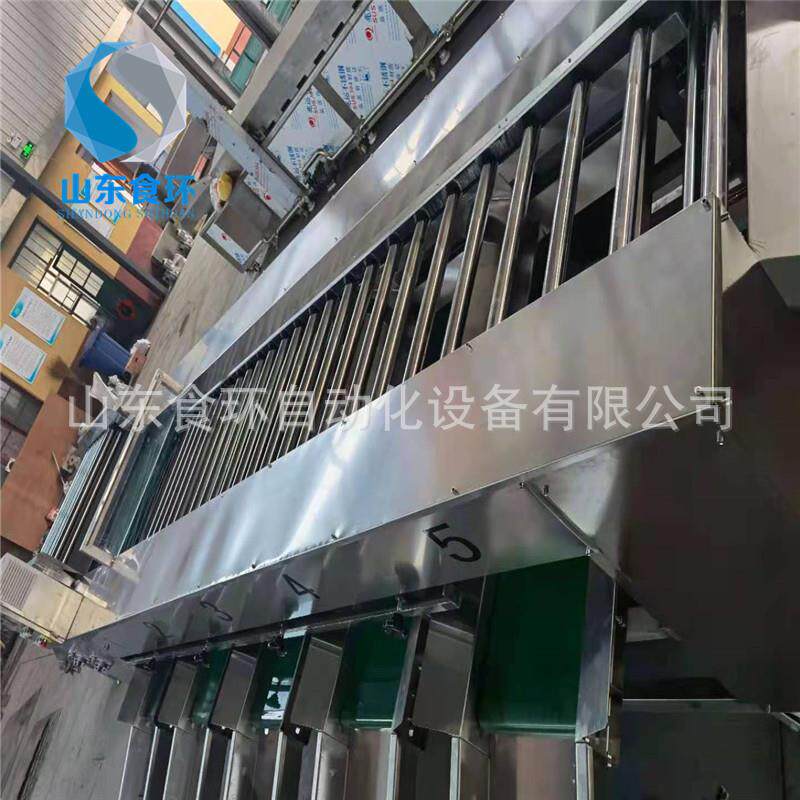 沃柑滚杠式分级机赣南脐橙清洗风干打蜡分级设备厂家