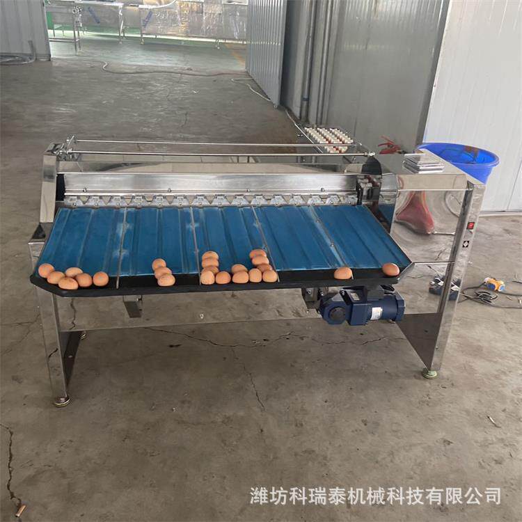 商用鸡蛋按重大小分级机 鸭蛋分选机 蛋品分拣机 种蛋挑选机