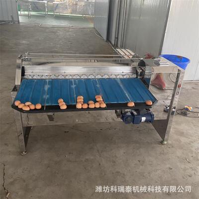 商用鸡蛋按重大小分级机 鸭蛋分选机 蛋品分拣机 种蛋挑选机