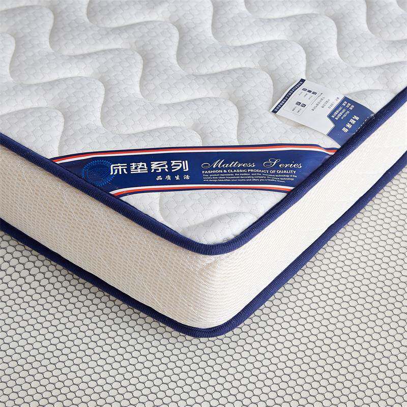 乳胶床垫家用厚款1米8×2米软垫学生宿舍90x190床垫子榻榻米褥子