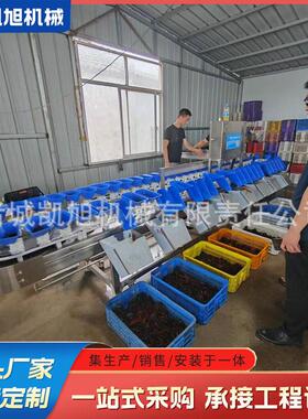 果蔬重量筛选机 芒果自动称重分选机 贝贝瓜全自动选果机设备