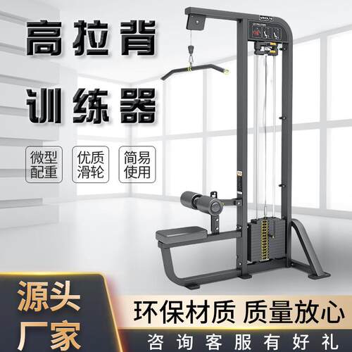 商用健身房高拉背训练器室内背部肌肉力量训练器拉背阔肌训练器
