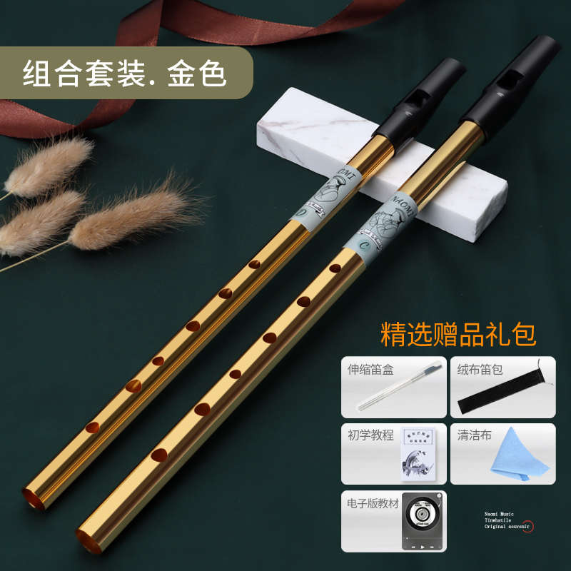 乐器笛直调孔爱尔兰笛笛美国c 调入门锡哨d初学者六naomi高音竖笛
