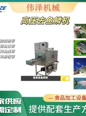 高压水去鱼鳞机 快速去除鱼鳞的设备 草鱼鲩鱼黑鱼鲈鱼鲫鱼鳗鱼
