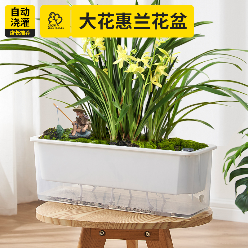 大花惠兰花盆懒人种植自动自吸水盆栽花盆阳台长方形水培器皿专用
