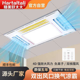 风扇凉空调照明霸冷霸厨房二合一冷带换气 吊顶集成智能型嵌入式