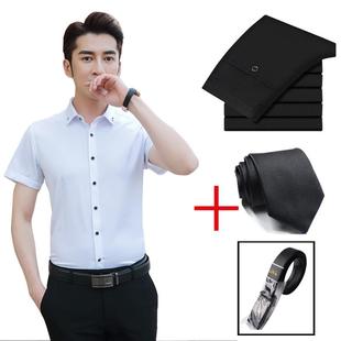 短袖 刺定绣制loo正装 工衬g衫 商务休闲免烫抗皱夏季 作服 男套装 正品