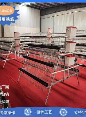 阶梯三层四层四门/五门绿白槽蛋鸡笼可加自动喂料/捡蛋/清粪