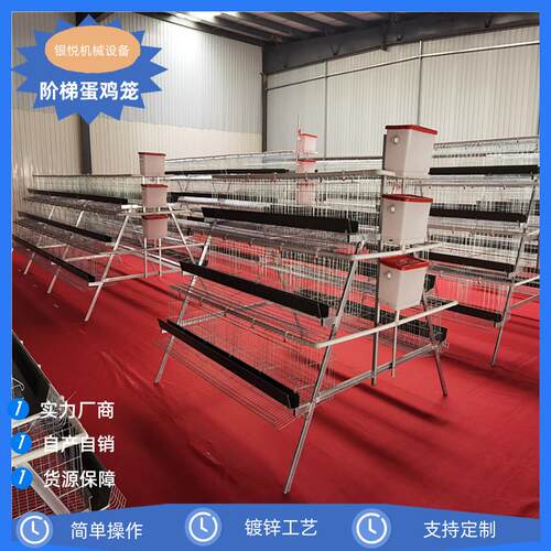 阶梯三层四层四门/五门绿白槽蛋鸡笼可加自动喂料/捡蛋/清粪