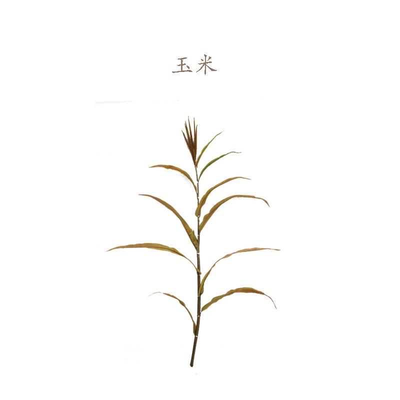 仿真花米绿植秋玉米棒玉米叶色农作子物工程博物馆拍001玉摄厂家