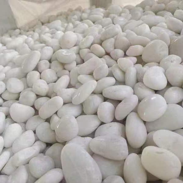 白色精抛鹅卵石 2-3cm鱼缸铺底石头子庭院铺地造景鹅卵石厂家现货