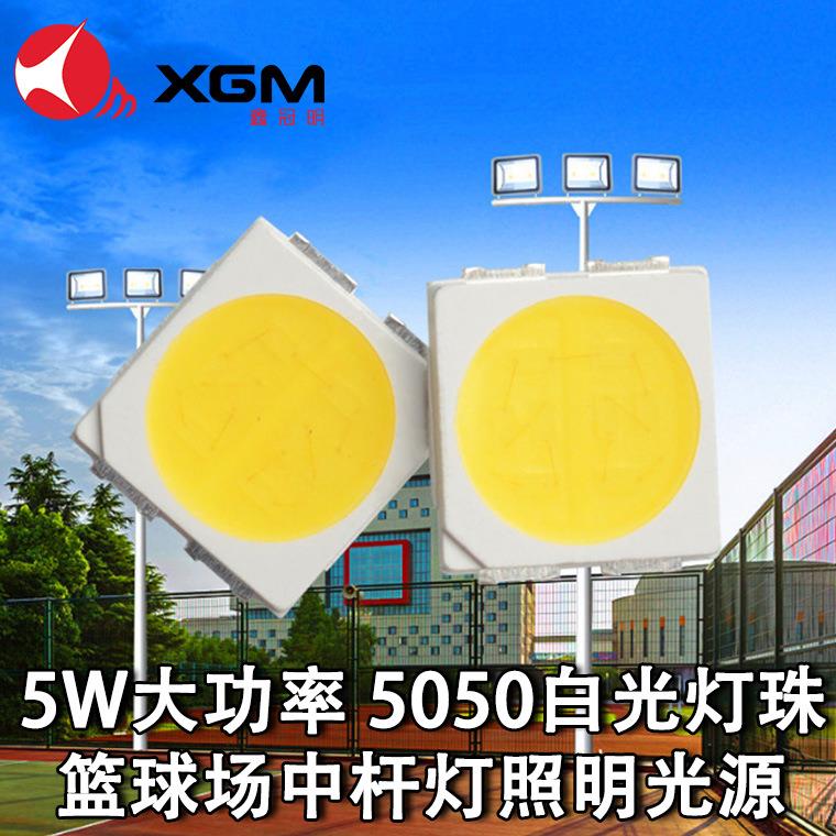 5050大功率户外白灯光源陶瓷灯珠高光效10W超高亮led5050白光灯珠