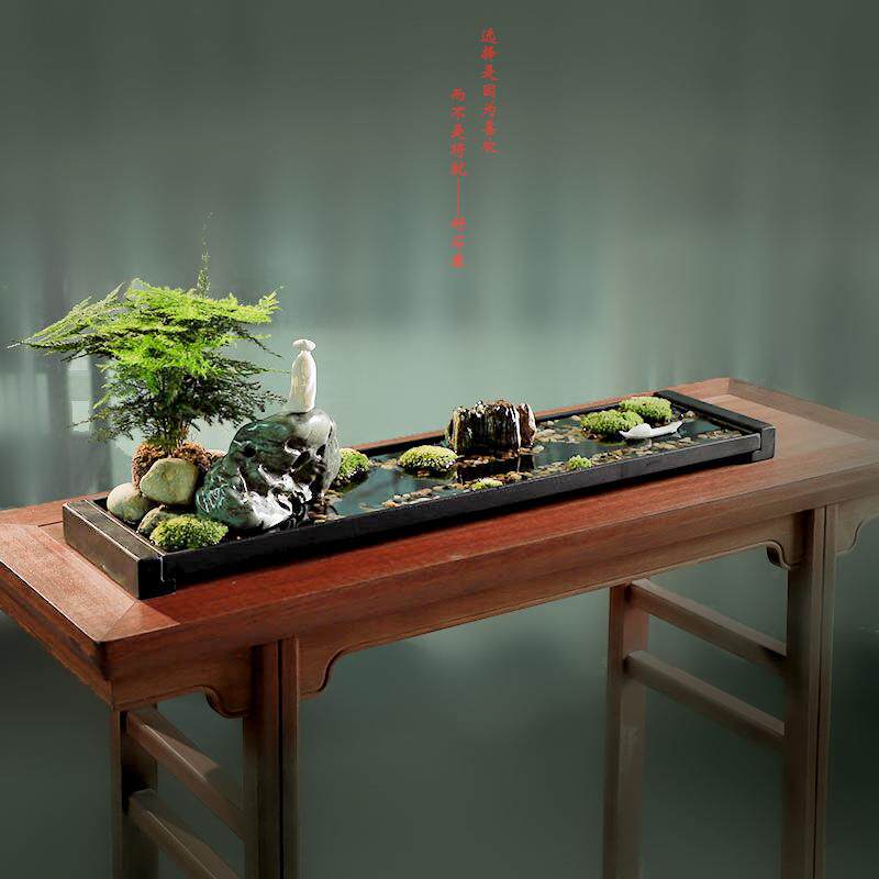 好石寨 文竹苔藓水培微景观盆 窄长方型景乌金石菖蒲盆微景绿植盆