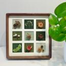 标本类立体装 饰画植物树叶干燥花干果森系相框挂墙空框宫格手工di