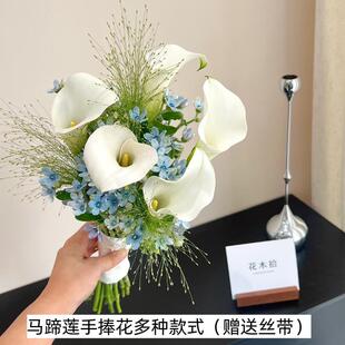 进口马蹄莲海芋手捧花鲜花真花云南直发玫瑰居家水养插花顺丰空运