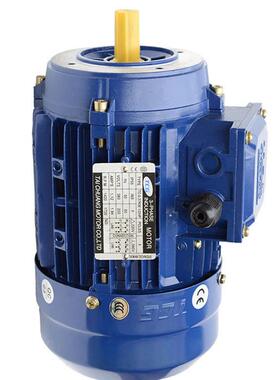 CG台创交流铝壳电动机70三TC7124-0相异步铝壳电机T工W作运转效率