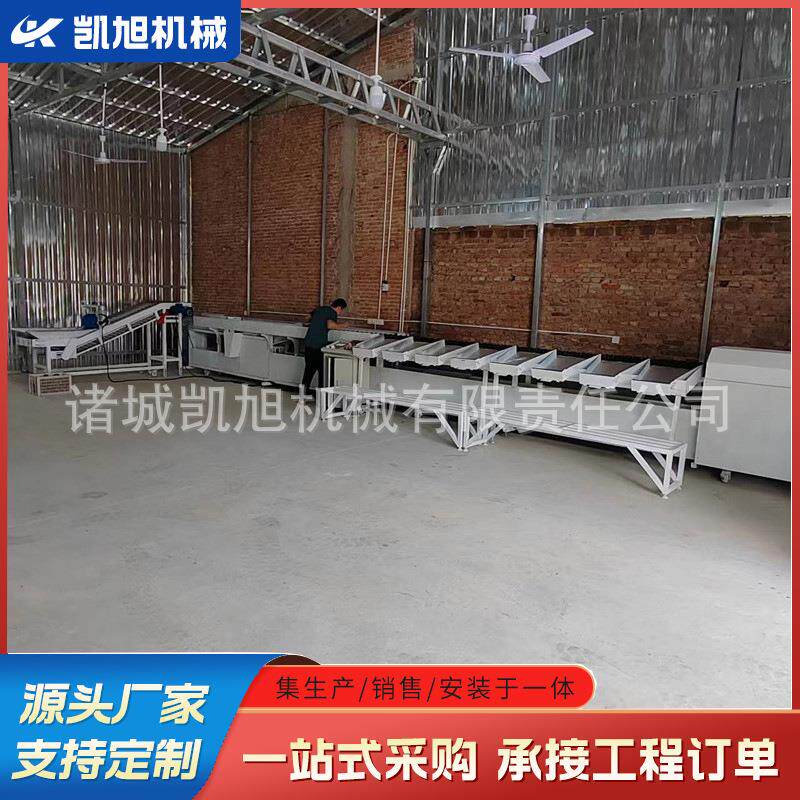 贝贝南瓜称重分选机 番石榴选果机 全自动水果糖度智能霉心检测