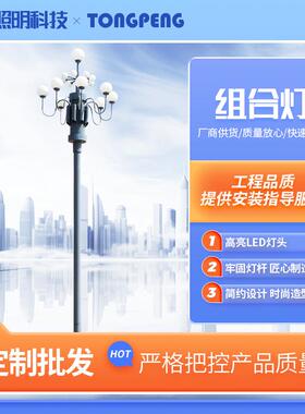 厂家8火9火10火15火中华灯景观玉兰灯市政广场LED玉兰灯