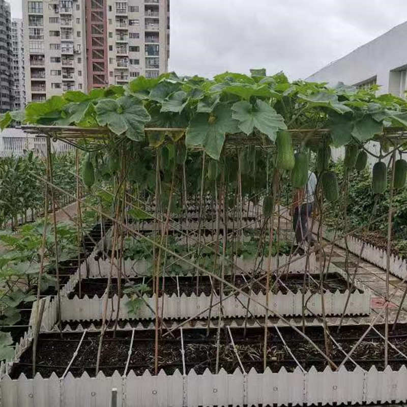 营养土养花通用土壤种植土合成泥炭土花土屋顶轻质土疏松透气