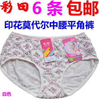 Slip jeunesse en viscose - Ref 643317 Image 20